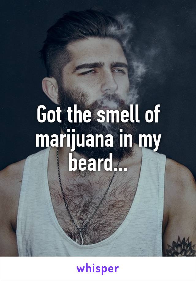 Got the smell of marijuana in my beard...