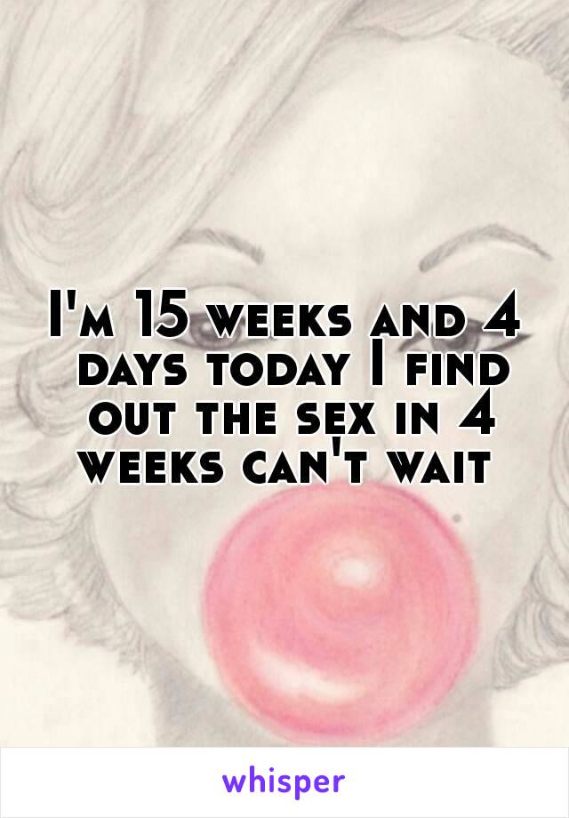 I'm 15 weeks and 4 days today I find out the sex in 4 weeks can't wait 