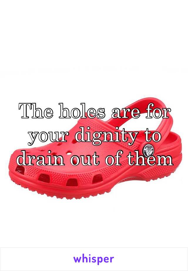 The holes are for your dignity to drain out of them