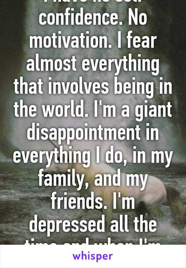 I have no self confidence. No motivation. I fear almost everything that involves being in the world. I'm a giant disappointment in everything I do, in my family, and my friends. I'm depressed all the time and when I'm not I have anxiety. 