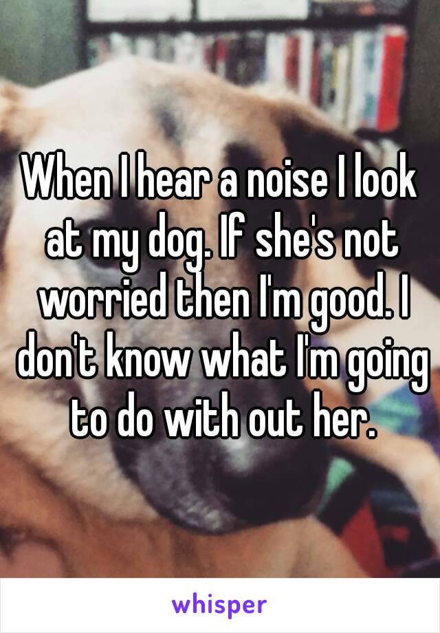 When I hear a noise I look at my dog. If she's not worried then I'm good. I don't know what I'm going to do with out her.