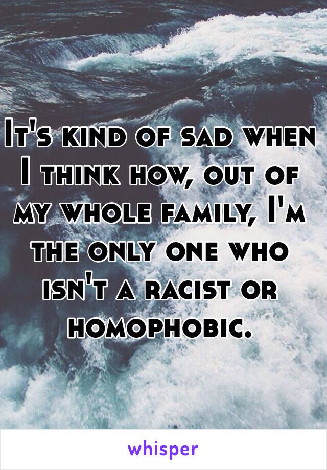 It's kind of sad when I think how, out of my whole family, I'm the only one who isn't a racist or homophobic. 