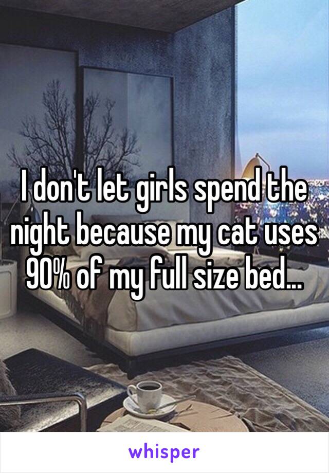 I don't let girls spend the night because my cat uses 90% of my full size bed...