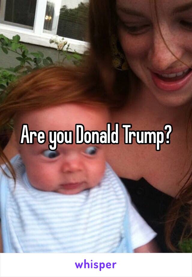 Are you Donald Trump?