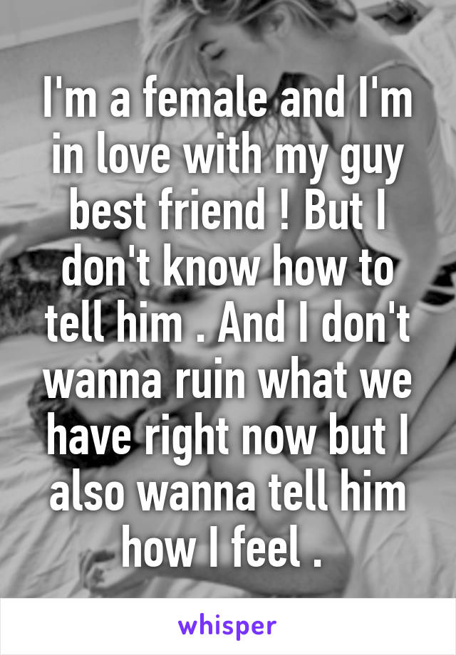 I'm a female and I'm in love with my guy best friend ! But I don't know how to tell him . And I don't wanna ruin what we have right now but I also wanna tell him how I feel . 