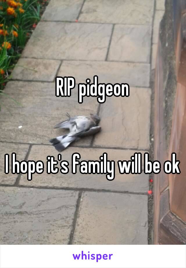 RIP pidgeon


I hope it's family will be ok