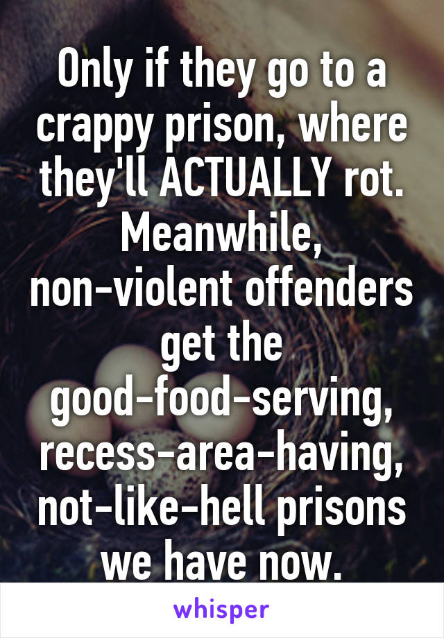 Only if they go to a crappy prison, where they'll ACTUALLY rot. Meanwhile, non-violent offenders get the good-food-serving, recess-area-having, not-like-hell prisons we have now.