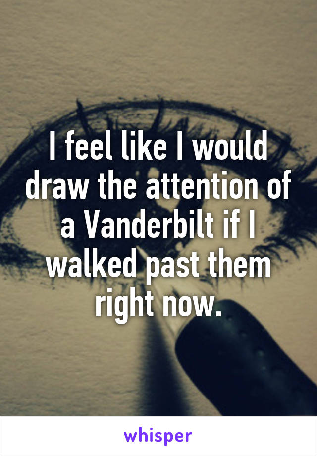 I feel like I would draw the attention of a Vanderbilt if I walked past them right now.