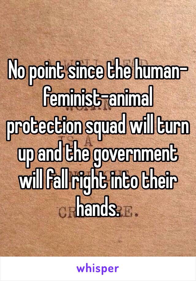 No point since the human-feminist-animal protection squad will turn up and the government will fall right into their hands.