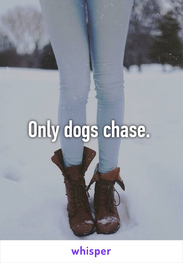 Only dogs chase. 