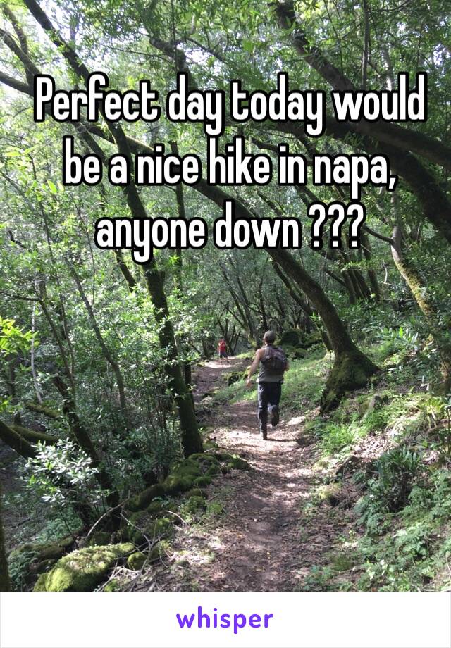 Perfect day today would be a nice hike in napa, anyone down ???