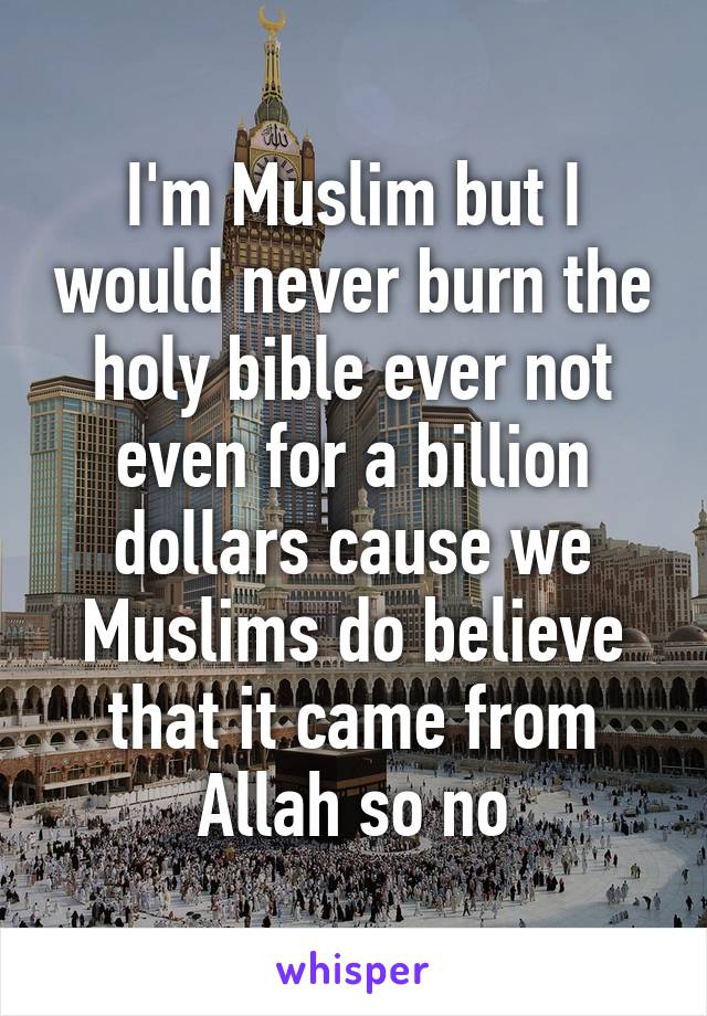 I'm Muslim but I would never burn the holy bible ever not even for a billion dollars cause we Muslims do believe that it came from Allah so no