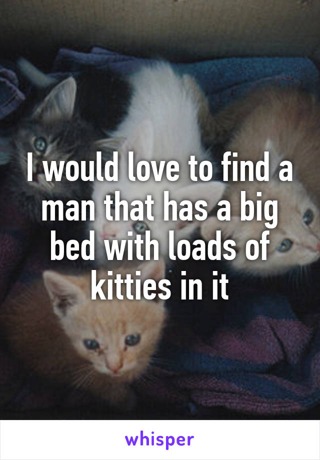 I would love to find a man that has a big bed with loads of kitties in it