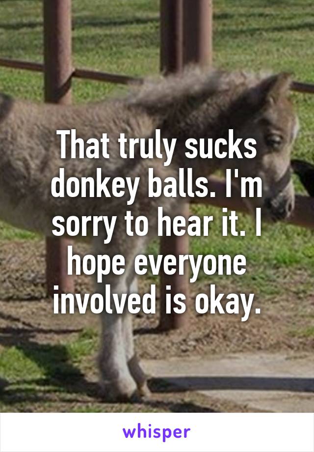 That truly sucks donkey balls. I'm sorry to hear it. I hope everyone involved is okay.