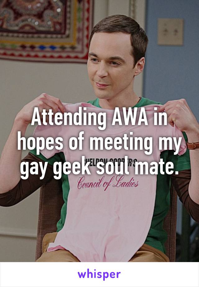 Attending AWA in hopes of meeting my gay geek soul mate.