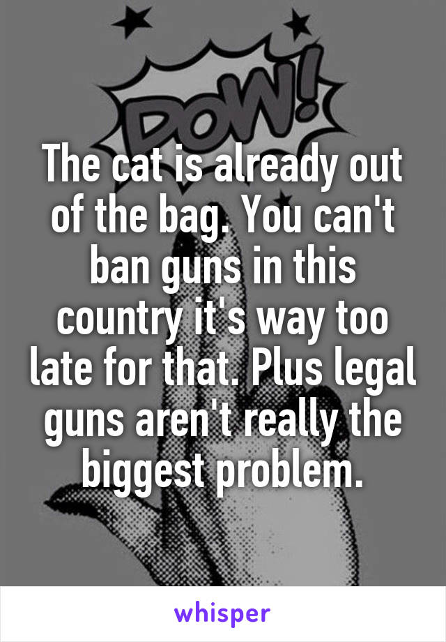 The cat is already out of the bag. You can't ban guns in this country it's way too late for that. Plus legal guns aren't really the biggest problem.