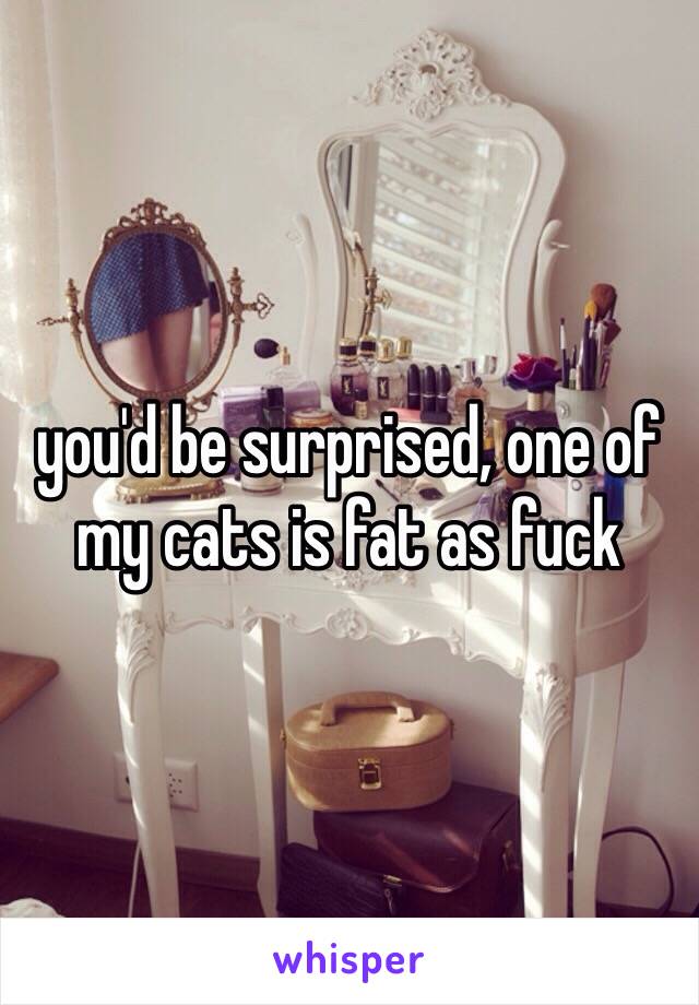 you'd be surprised, one of my cats is fat as fuck 