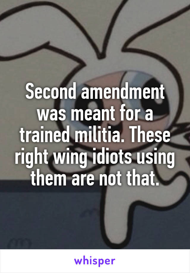 Second amendment was meant for a trained militia. These right wing idiots using them are not that.