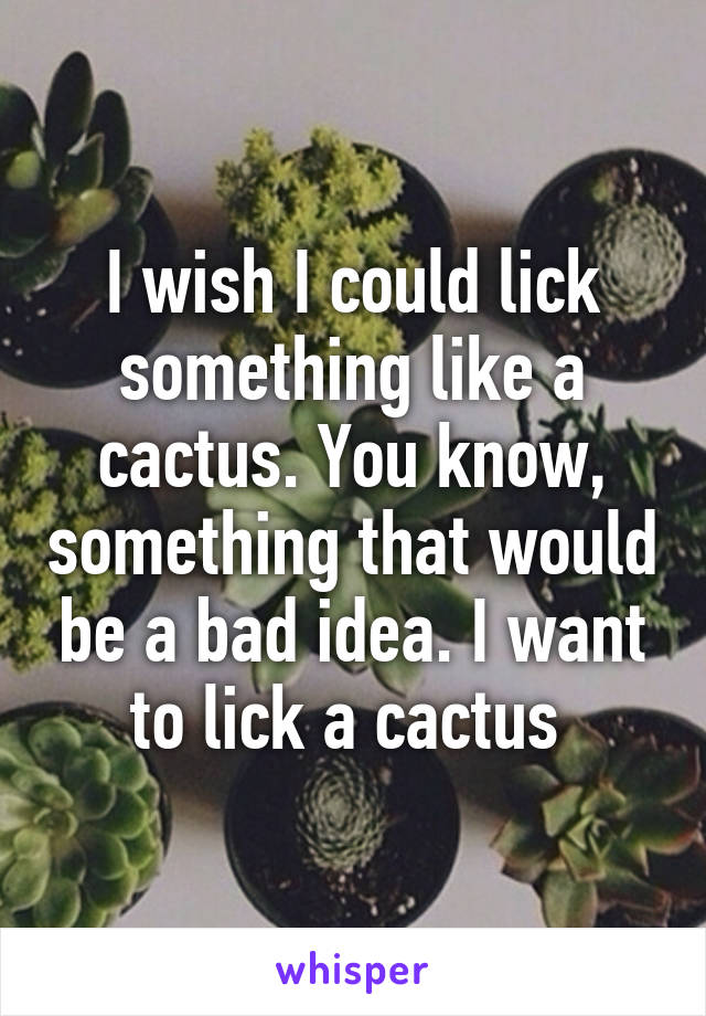 I wish I could lick something like a cactus. You know, something that would be a bad idea. I want to lick a cactus 