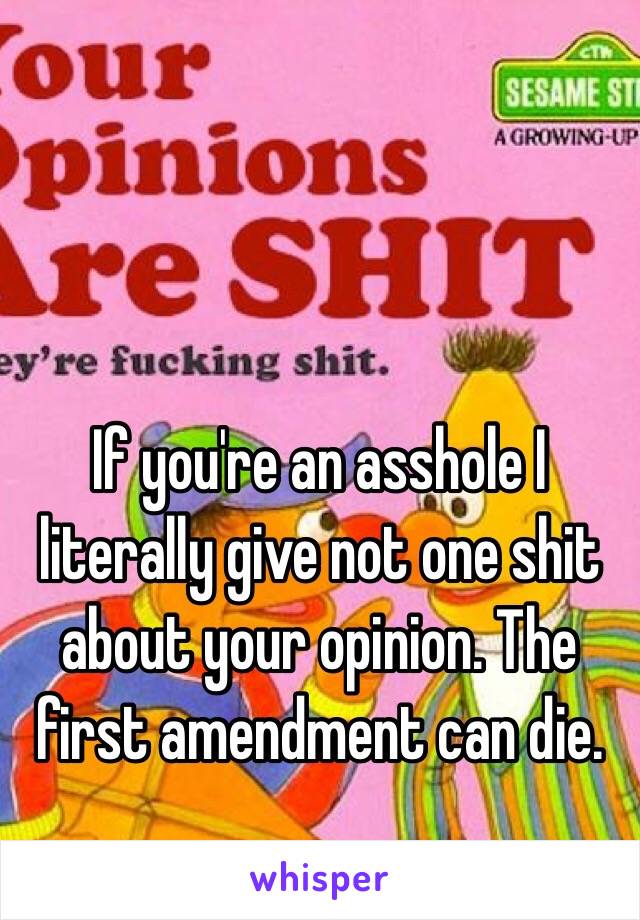 If you're an asshole I literally give not one shit about your opinion. The first amendment can die.