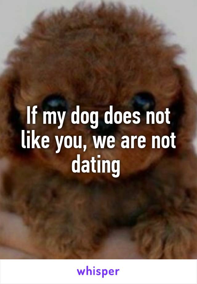 If my dog does not like you, we are not dating 