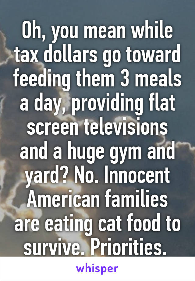 Oh, you mean while tax dollars go toward feeding them 3 meals a day, providing flat screen televisions and a huge gym and yard? No. Innocent American families are eating cat food to survive. Priorities. 