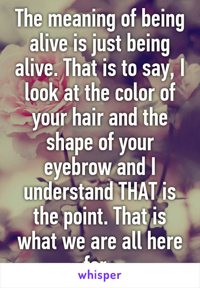 The meaning of being alive is just being alive. That is to say, I look at the color of your hair and the shape of your eyebrow and I understand THAT is the point. That is what we are all here for. 