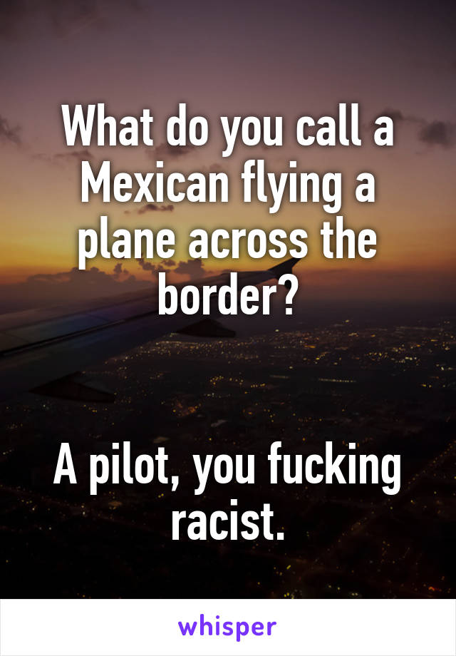 What do you call a Mexican flying a plane across the border?


A pilot, you fucking racist.