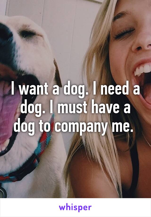 I want a dog. I need a dog. I must have a dog to company me. 