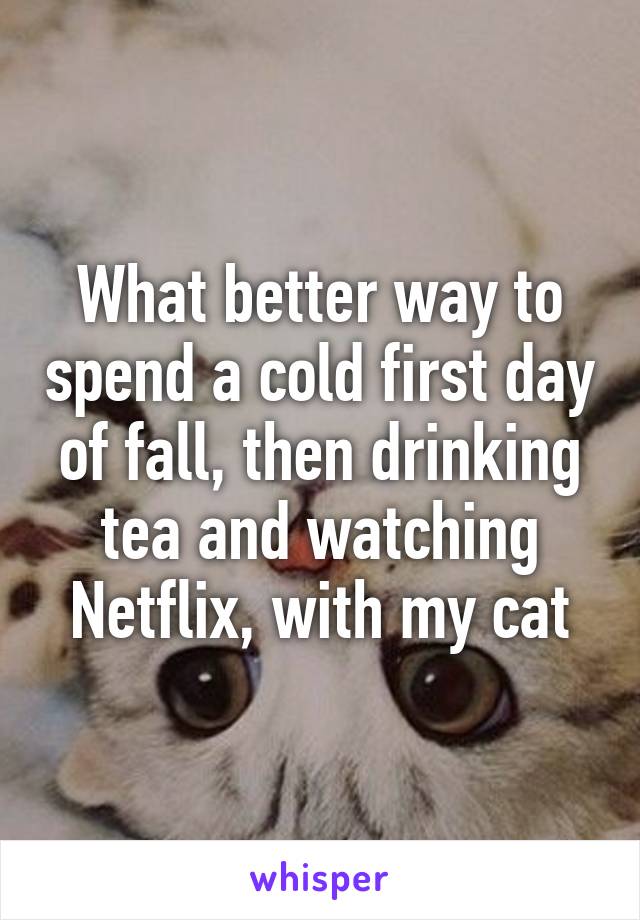 What better way to spend a cold first day of fall, then drinking tea and watching Netflix, with my cat