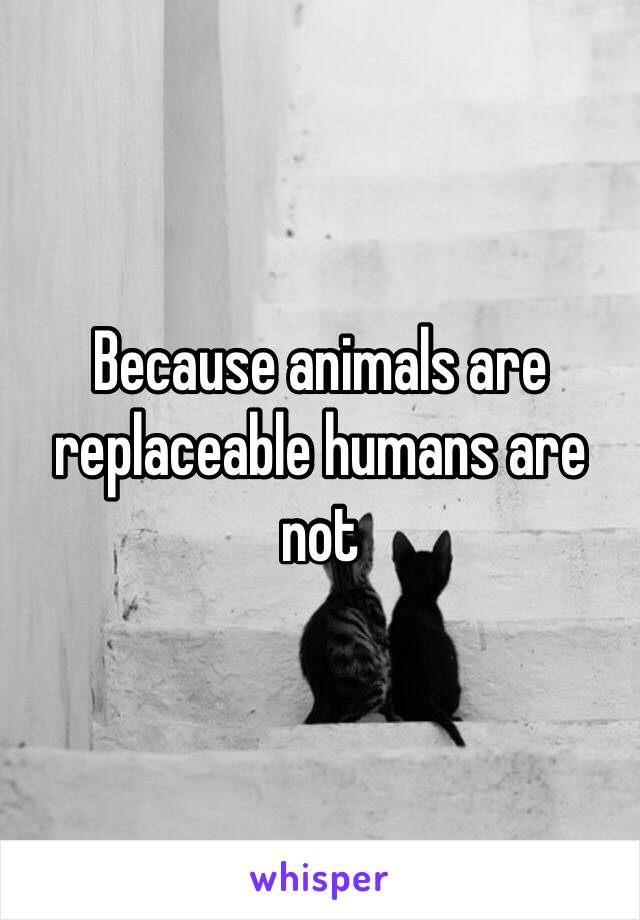 Because animals are replaceable humans are not 