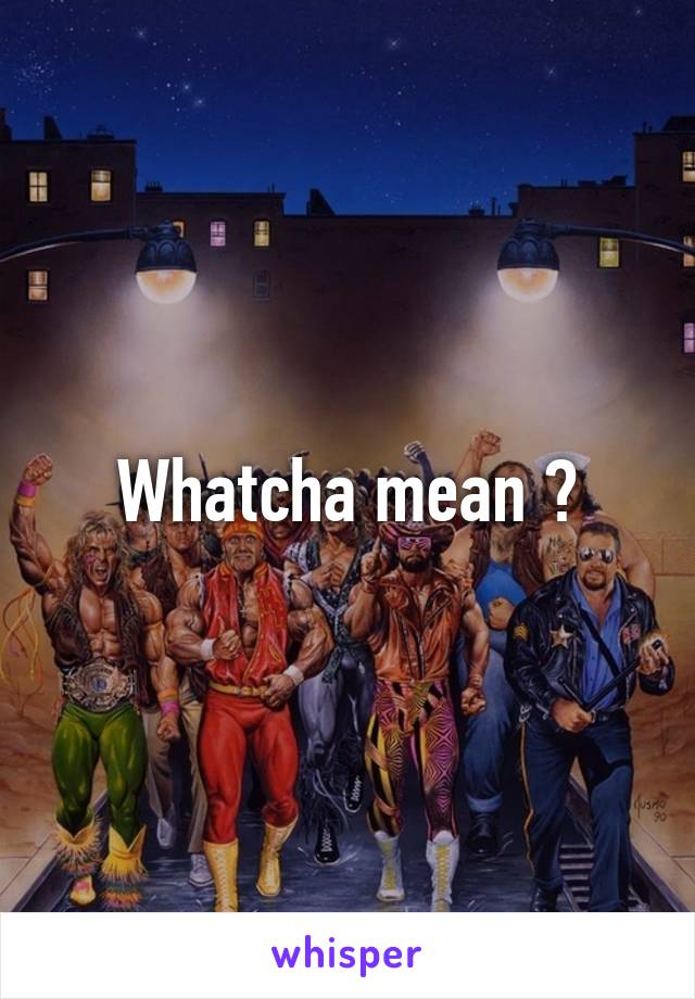 Whatcha mean ?