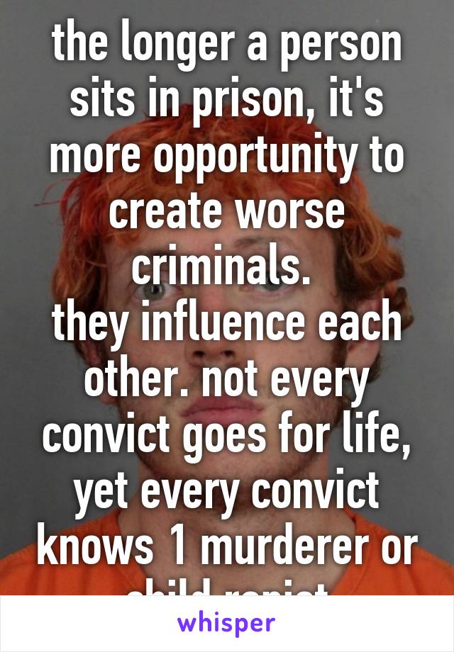 the longer a person sits in prison, it's more opportunity to create worse criminals. 
they influence each other. not every convict goes for life, yet every convict knows 1 murderer or child rapist