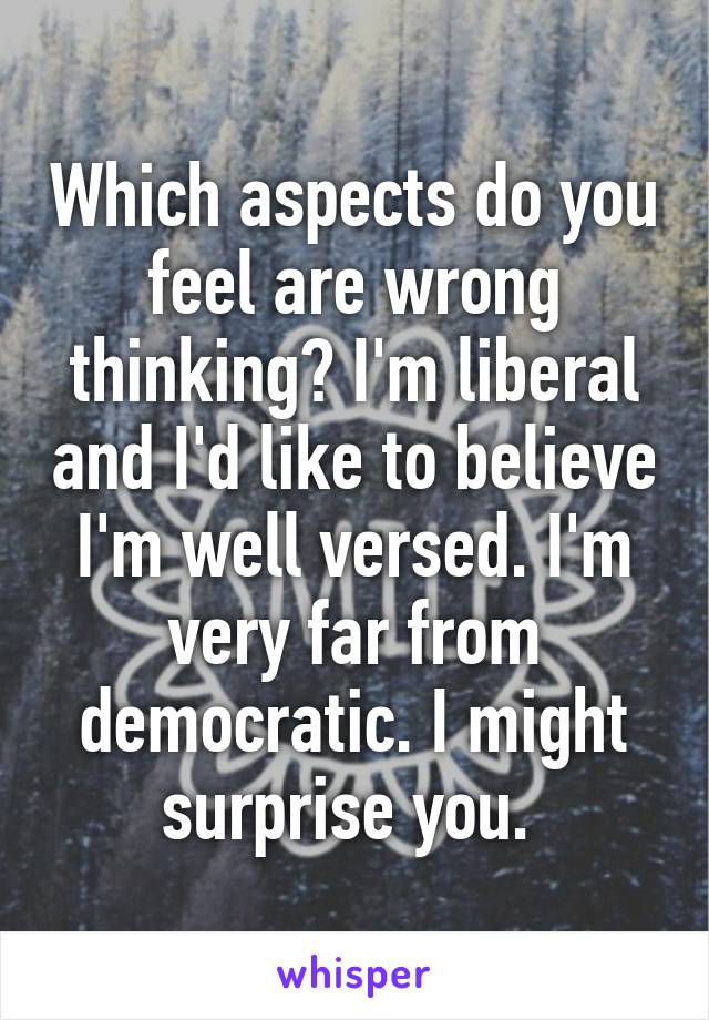 Which aspects do you feel are wrong thinking? I'm liberal and I'd like to believe I'm well versed. I'm very far from democratic. I might surprise you. 