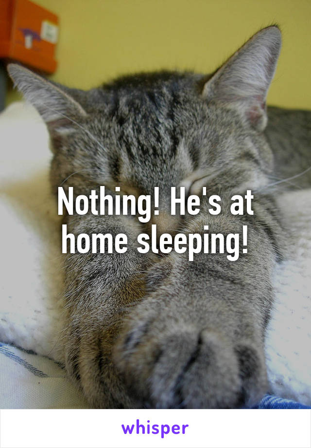 Nothing! He's at home sleeping!