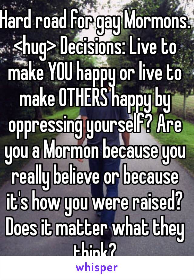 Hard road for gay Mormons. <hug> Decisions: Live to make YOU happy or live to make OTHERS happy by oppressing yourself? Are you a Mormon because you really believe or because it's how you were raised? Does it matter what they think?