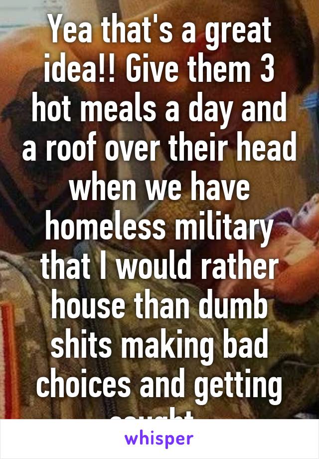 Yea that's a great idea!! Give them 3 hot meals a day and a roof over their head when we have homeless military that I would rather house than dumb shits making bad choices and getting caught. 