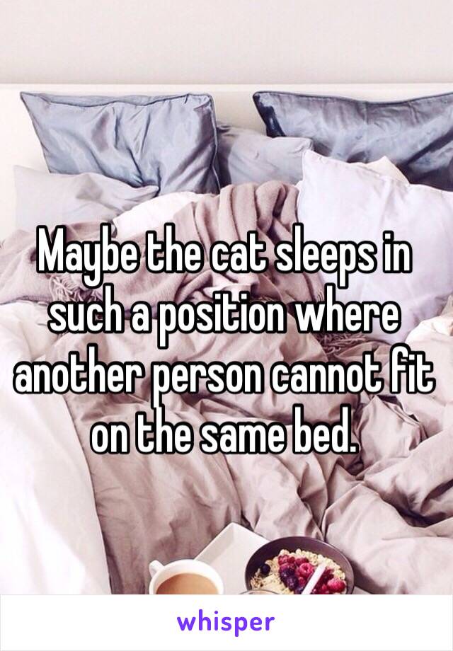 Maybe the cat sleeps in such a position where another person cannot fit on the same bed.

