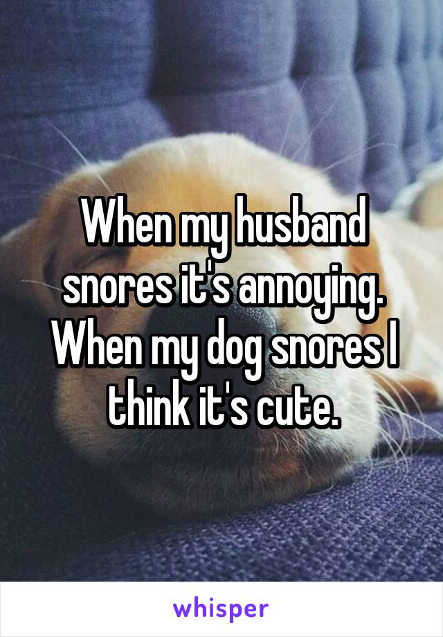 When my husband snores it's annoying. When my dog snores I think it's cute.