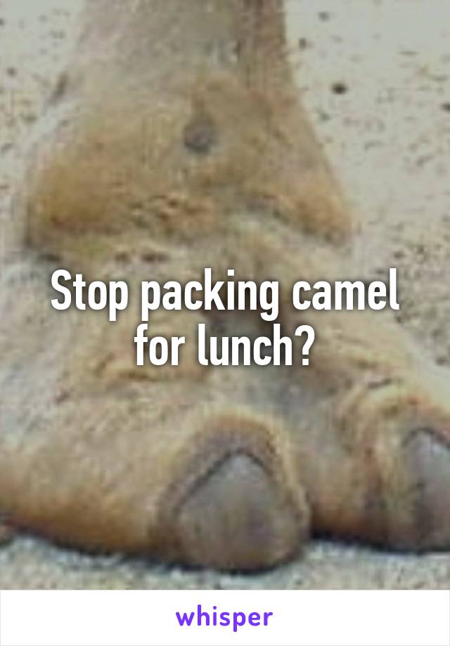 Stop packing camel for lunch?