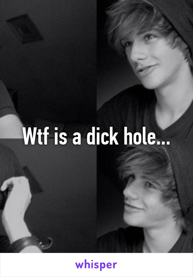 Wtf is a dick hole...