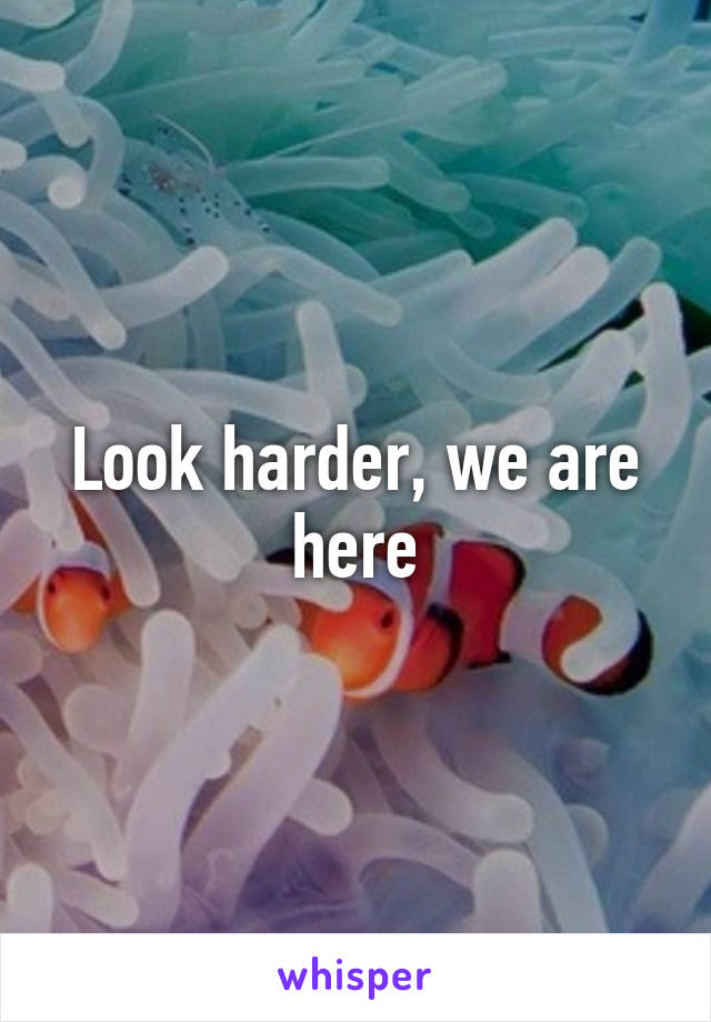 Look harder, we are here