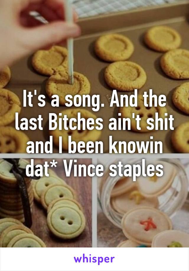 It's a song. And the last Bitches ain't shit and I been knowin dat* Vince staples