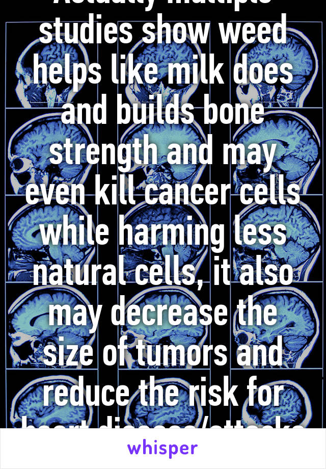 Actually multiple studies show weed helps like milk does and builds bone strength and may even kill cancer cells while harming less natural cells, it also may decrease the size of tumors and reduce the risk for heart disease/attacks 