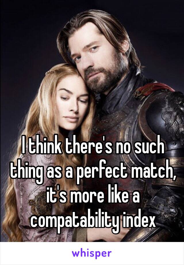 I think there's no such thing as a perfect match, it's more like a compatability index