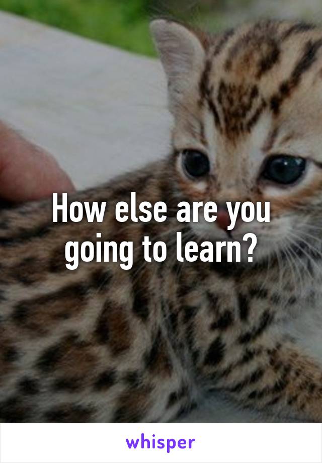 How else are you going to learn?