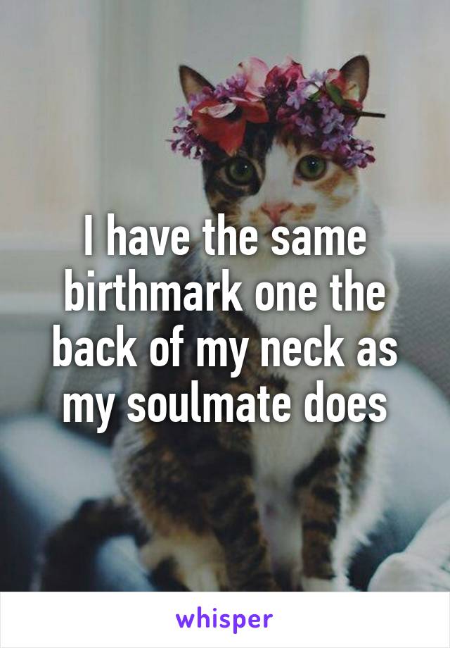 I have the same birthmark one the back of my neck as my soulmate does