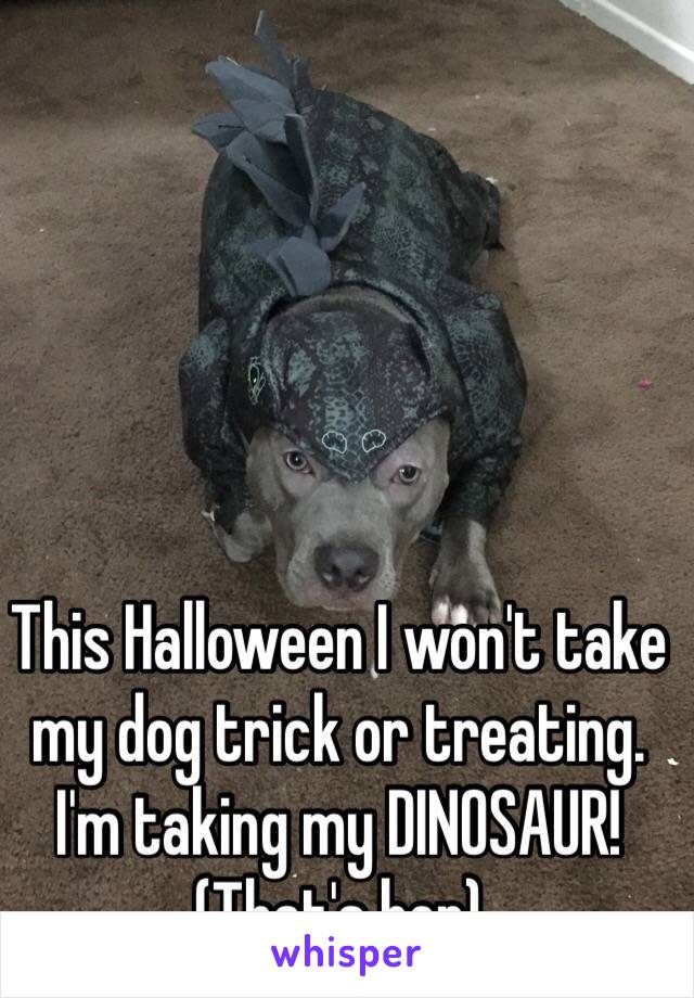 This Halloween I won't take my dog trick or treating. I'm taking my DINOSAUR! (That's her)