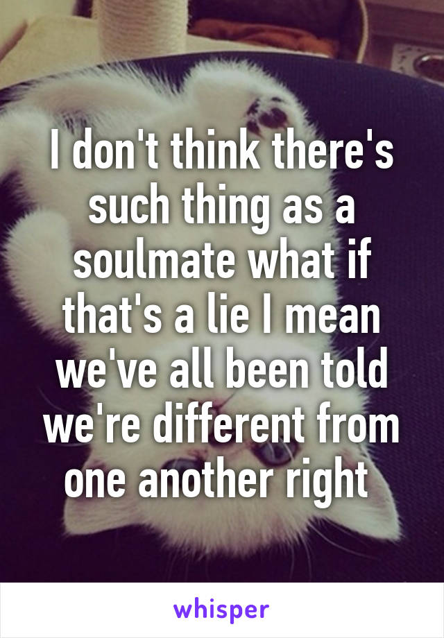 I don't think there's such thing as a soulmate what if that's a lie I mean we've all been told we're different from one another right 