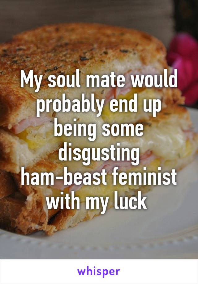 My soul mate would probably end up being some disgusting ham-beast feminist with my luck 